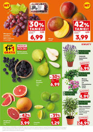 Kaufland gazetka Strona 13