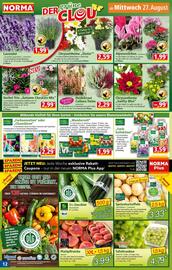 Norma Prospekt woche 35 Seite 12