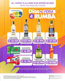 Catálogo Surtifamiliar Página 2
