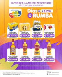 Catálogo Surtifamiliar Página 3