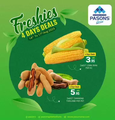Pasons catalogue (valid until 17-08)