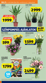ALDI akciós újság hét 34 Oldal 10