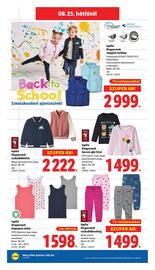 Lidl akciós újság hét 34 Oldal 14