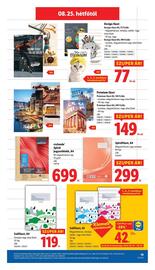 Lidl akciós újság hét 34 Oldal 19