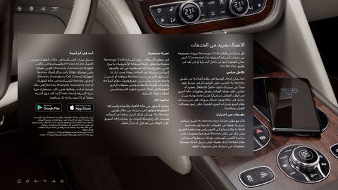 Bentley catalogue Page 29