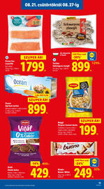 Lidl akciós újság hét 34 Oldal 13