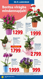 Lidl akciós újság hét 34 Oldal 16