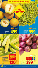 Lidl akciós újság hét 34 Oldal 44