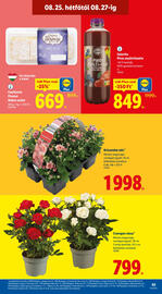 Lidl akciós újság hét 34 Oldal 63