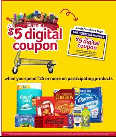Winn Dixie Weekly Ad week 33 Page 10