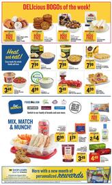 Food Lion Weekly Ad week 33 Page 3