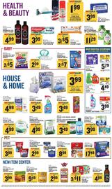 Food Lion Weekly Ad week 33 Page 7