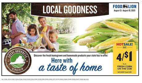 Food Lion Weekly Ad week 33 Page 9