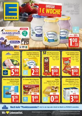 Edeka Prospekt (gültig bis 23-08)
