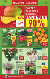 ALDI gazetka tydzień 34 Strona 22