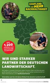 Kaufland DE folder week 34 Pagina 46