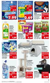 Kaufland Prospekt woche 34 Seite 31