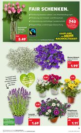 Kaufland Prospekt woche 34 Seite 5