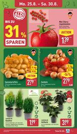 Aldi Nord Prospekt woche 35 Seite 3