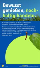 Lidl Prospekt woche 35 Seite 26