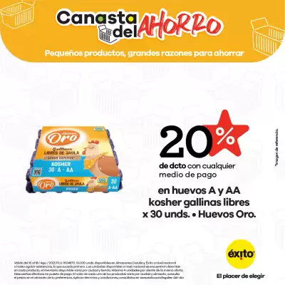 Catálogo Éxito (válido hasta 18-08)