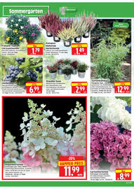 Edeka Herkules Prospekt woche 34 Seite 4