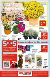Hellweg Prospekt woche 34 Seite 16