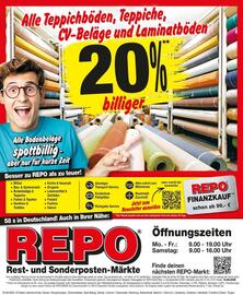 Repo Markt Prospekt woche 34 Seite 16