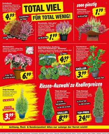 Repo Markt Prospekt woche 34 Seite 2