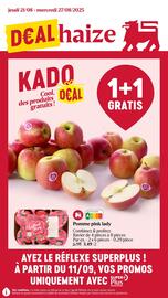 Proxy Delhaize folder week 34 Pagina 1