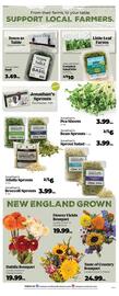 Roche Bros Weekly Ad week 33 Page 5