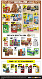 Dollar General Weekly Ad week 34 Page 14