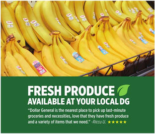Dollar General Weekly Ad week 34 Page 6