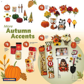 Family Dollar Weekly Ad week 34 Page 5