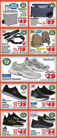 Big 5 Weekly Ad week 34 Page 3
