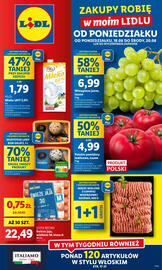 Lidl gazetka Strona 1