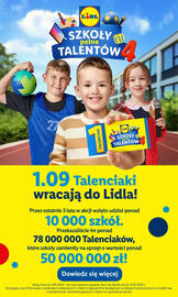 Lidl gazetka Strona 13