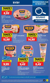 Lidl gazetka Strona 41