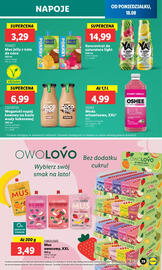 Lidl gazetka Strona 43