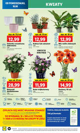 Lidl gazetka Strona 64