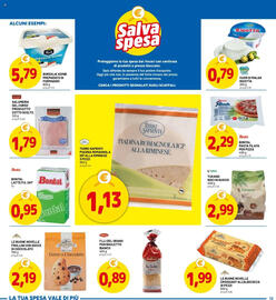 Volantino DPiù Pagina 13