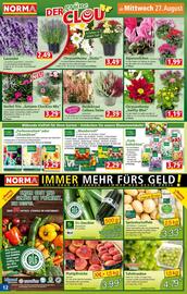 Norma Flugblatt woche 35 Seite 12