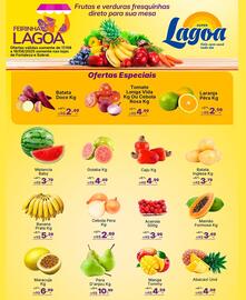 Catálogo Super Lagoa Página 2