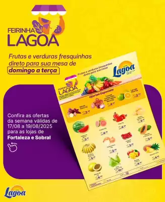 Catálogo Super Lagoa