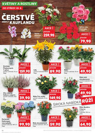 Kaufland leták týden 34 Strana 10
