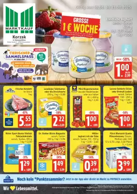 Marktkauf Prospekt (gültig bis 23-08)