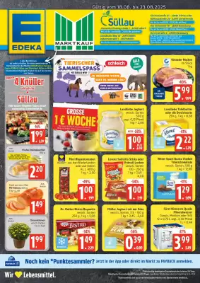 Marktkauf Prospekt (gültig bis 23-08)