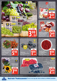 Marktkauf Prospekt Seite 6