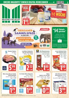 Marktkauf Prospekt (gültig bis 23-08)