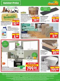Herkules Baumarkt Prospekt woche 34 Seite 12